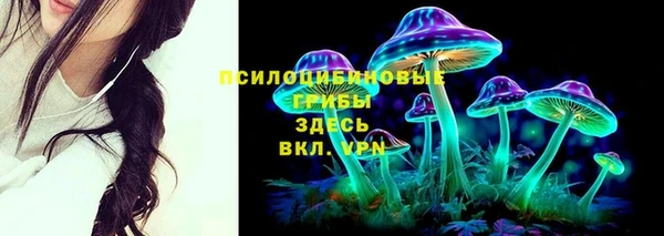 гидропоника Дмитриев