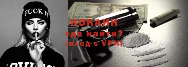 дмт Гусев