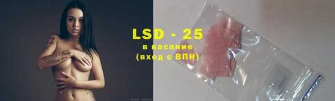 дмт Гусев