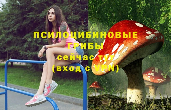 прущий лед Гусиноозёрск