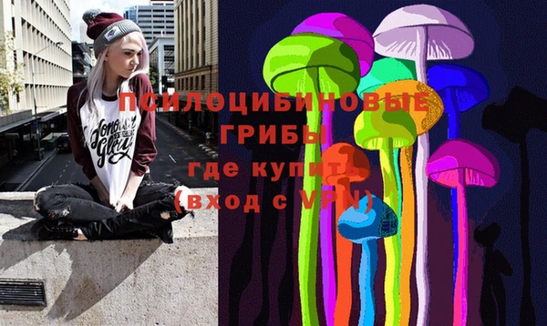 дмт Гусев