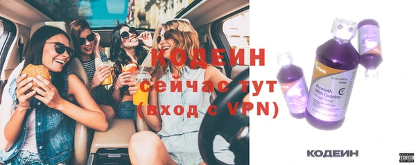 дмт Гусев