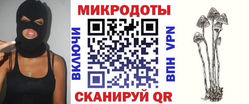Галлюциногенные грибы Psilocybine cubensis  Заволжье 